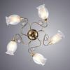 Люстра Arte Lamp Mughetto A9289PL-5GO