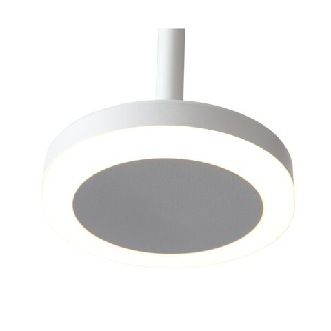 Светильник подвесной ST Luce ST104.503.06