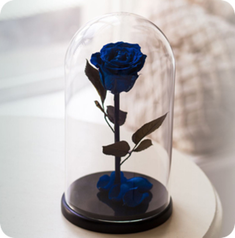 Вечная роза в стеклянной колбе тёмно-синяя (Премиум)