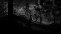 Renoir (для ПК, цифровой код доступа)