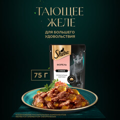 Sheba пауч для взрослых кошек (форель) желе 75 г