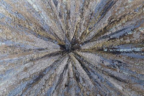 Картина 50х180см Tomas Stern 89517