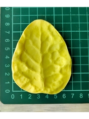 Молд пластиковый+вайнер силиконовый 