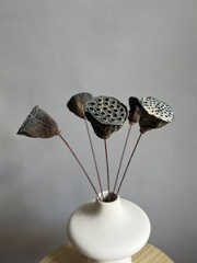 Лотос (упак 6 шт)