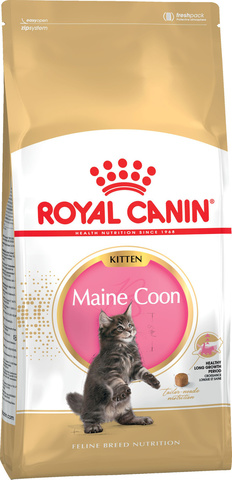 Royal Canin Kitten Maine Coon корм для котят породы мейн-кун 400г