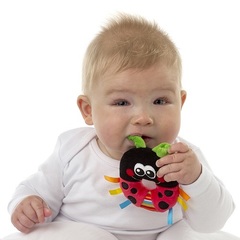 Playgro Игровой набор Лучшие друзья (3 погремушки) (0182431)