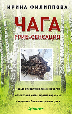 Чага. Гриб-сенсация филиппова и здоровье в лукошке чага груздь волнушка веселка дождевик эффективное лечение онкологии ожире