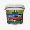Удобрение комплексное гранулированное для газонов Etisso Rasen Vital на 100 кв.м, 3 кг