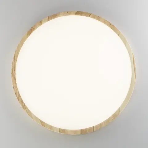 Потолочный светодиодный светильник Citilux Бейсик CL738322V