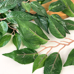 Листья Фикуса, искусственный букет, Зеленый 51 см, листочки 4,5 - 10 см, набор 5 веток