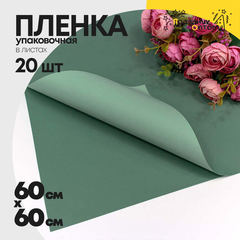
          Пленка В листах 20 шт 60 х 60 см двухсторонняя (Зеленый)
