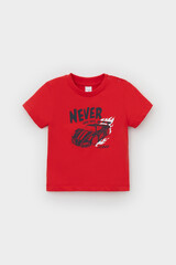 фуфайка  для мальчика  КР 302719/красный к548