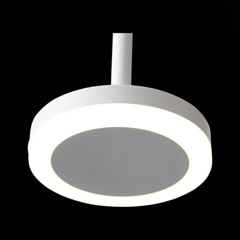 Светильник подвесной ST Luce ST104.503.06