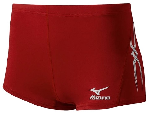 Шорты Женские Mizuno Premium W's Tight волейбольные