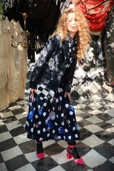 Fox and Swan. Kolomenskoye.