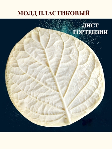 Молд  лист 11х10см 