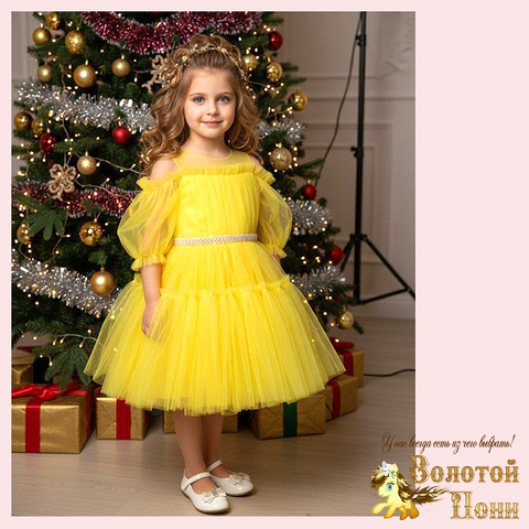 Платье нарядное на корсете (6-9) 251204-W2104