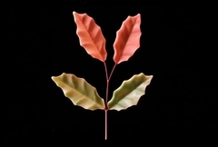 Силиконовый молд 