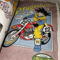 Артбук Dragon Ball: Complete Illustrations Vol. 1 (на японском языке) (Б/У)