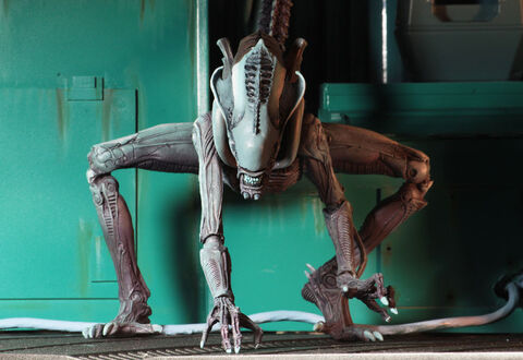 Фигурка Чужой Арахноид из видеоигры Alien vs Predator