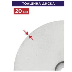 Диск абразивный для точила ПУЛЬСАР 200 х 32 х 20 мм F 60 белый (Al2O3) + кольца переходные