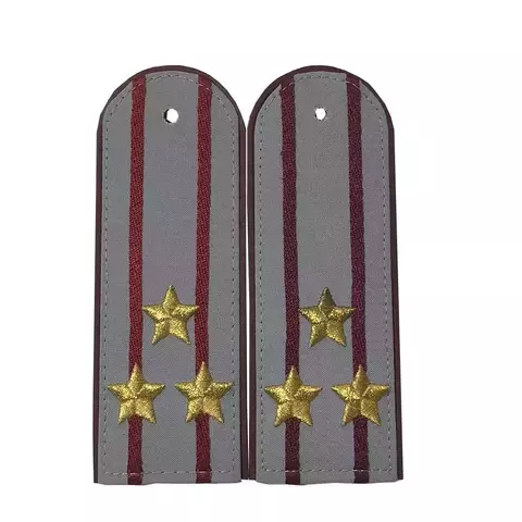 Погоны ФСИН люрикс на рубашку полковник