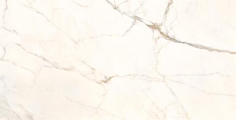 Creatile Whites Royal Calacatta 60x120