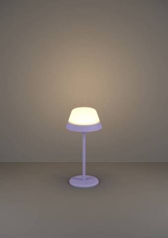 Аккумуляторная настольная лампа Eglo MEGGIANO 900979