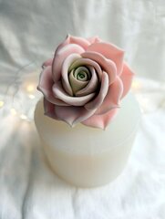 Силиконовая форма 