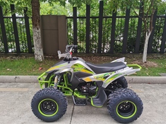 Квадроцикл YACOTA TYPHOON 250