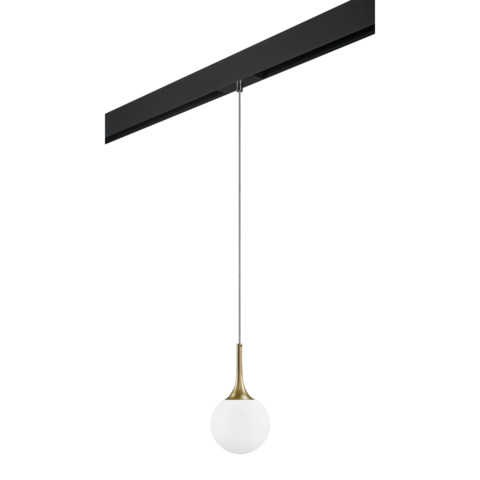 Трековый светильник Lightstar Globo PRO813013