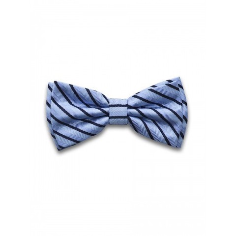 Бабочка Tsarevich 48