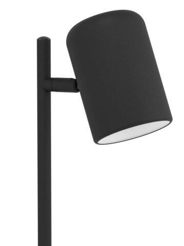 Настольная лампа Eglo CEPPINO 98855