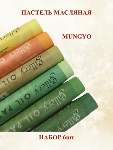 Пастель масляная MUNGYO Набор №5 (6шт)