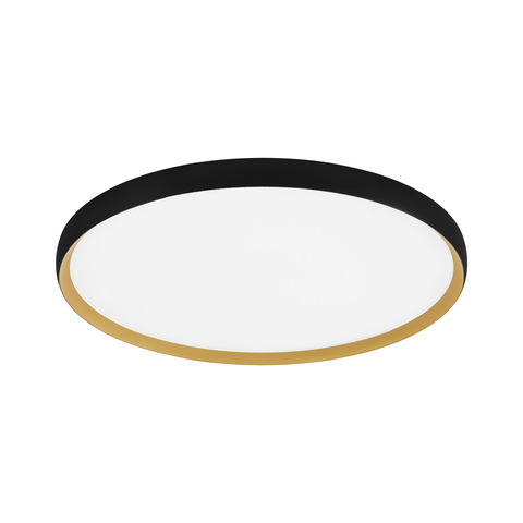 Потолочный светодиодный светильник Evoluce HELST SLE1810-402-01