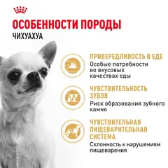 Royal Canin Chihuahua Adult сухой корм для собак породы Чихуахуа 3 кг