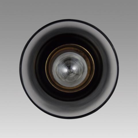 Подвесной светильник Lumion ISHA 8101/1A