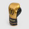 Перчатки Hardcore Training Revolution Gold/Black PU