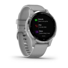 Смарт часы Garmin Vivoactive 4S Silver Stainless Steel Bezel with Powder Gray Case and Silicone Band