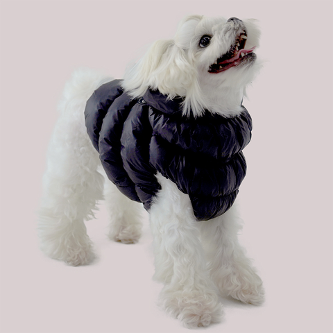 620 PA-OW Куртка-жилет "Секунда" Puppy Angel