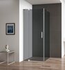 Cezares SLIDER-AH-1-100-100/110-GRIGIO-GM SLIDER-AH-1-100-100/110-GRIGIO-GM Душевой уголок