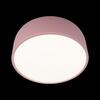Потолочный светильник Loft It Axel 10201/350 Pink