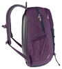 Картинка рюкзак городской Deuter Gogo 25 plum-ink - 3