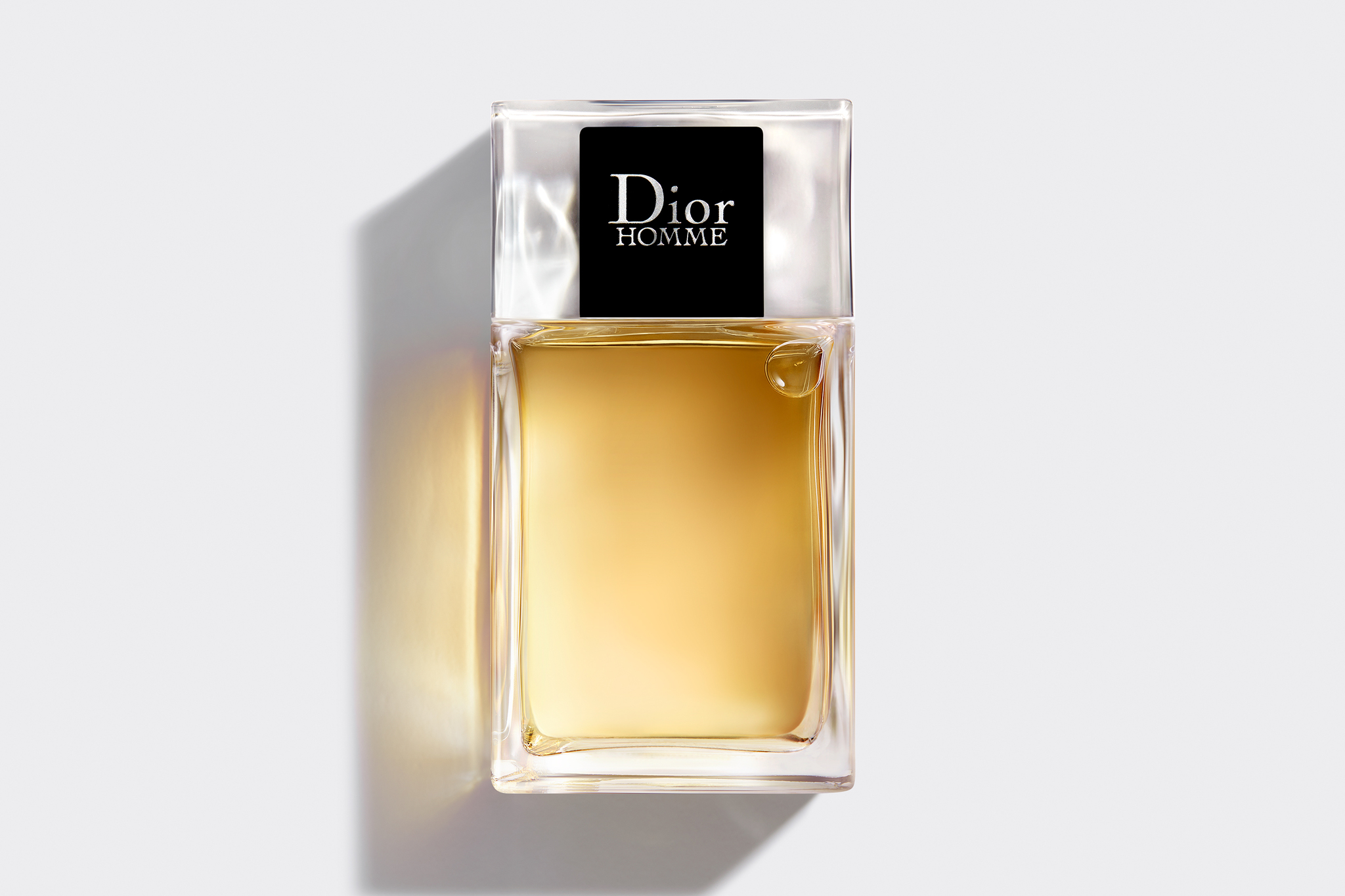 dior man
