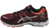 Кроссовки Asics Gel Kayano 21 мужские