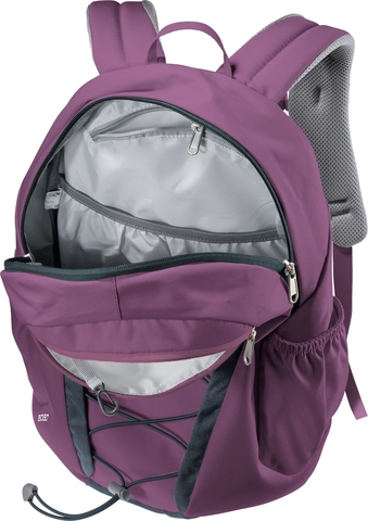 Картинка рюкзак городской Deuter Gogo 25 plum-ink - 5