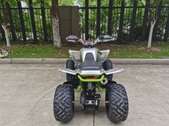 Квадроцикл YACOTA TYPHOON 250