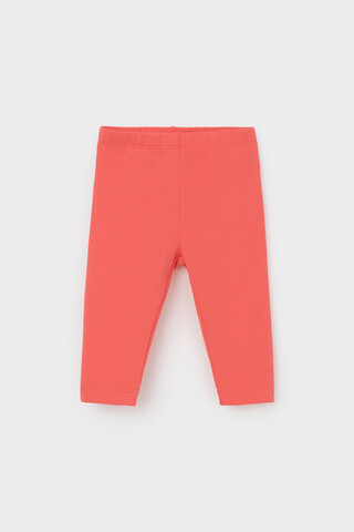 бриджи  для девочки  КП 4321/коралл