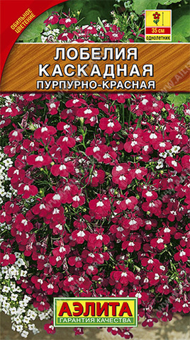 Лобелия каскадная пурпурно-красная тип ц/п