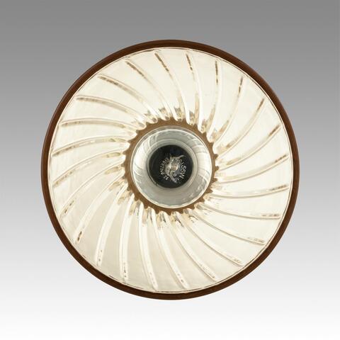 Подвесной светильник Lumion MIRABELA 8051/1A